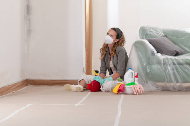 Reliable Commercial Mold Remediation contractor in Belle Mead, NJ by WQB Mold Removal
